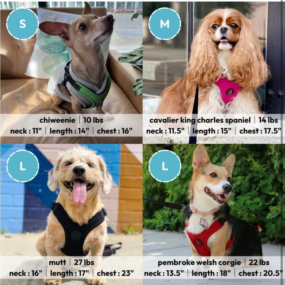 Gooby Escape Free Sport Harness - Blue, Large‎ - No Choke Step-in